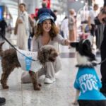 Turkey therapy dogs take over Istanbul airport wit...