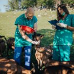 New guidance for One Health field epidemiology wor...