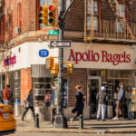 A Hole in Apollo Bagels’ Business Model? It’s Too Popular.