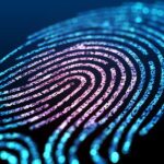 How Identity Access Management Can Help Your Business