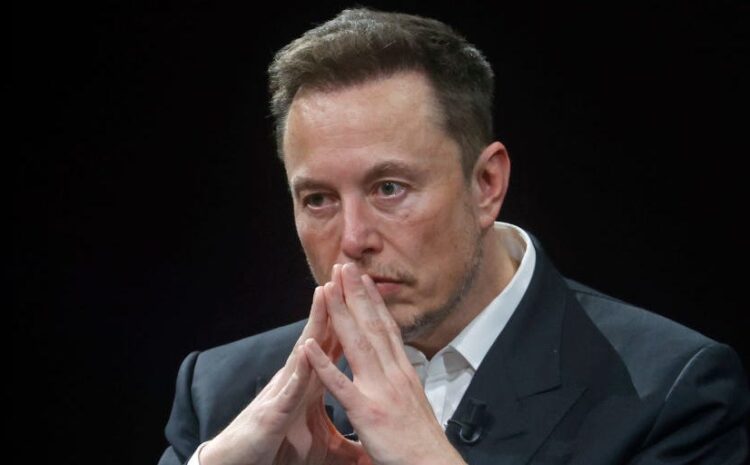  Trump tapped Elon Musk to oversee government effic...