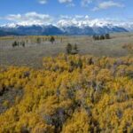 Wyoming to sell land in Grand Teton National Park to federal government for $100M