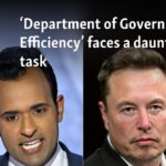 ‘Department of Government Efficiency’ faces a daunting task