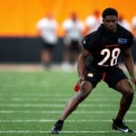 Bengals rookie trending toward breakout after praise from coaches