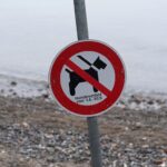 Welsh government advised to create dog-free zones ...