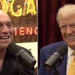 Joe Rogan says many in the entertainment industry had privately ‘thanked me for endorsing Trump’