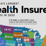 Mapped: The Top Health Insurance Companies by Stat...