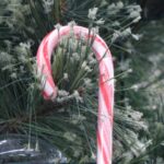 Celebrating National Candy Cane Day with a Waterville business