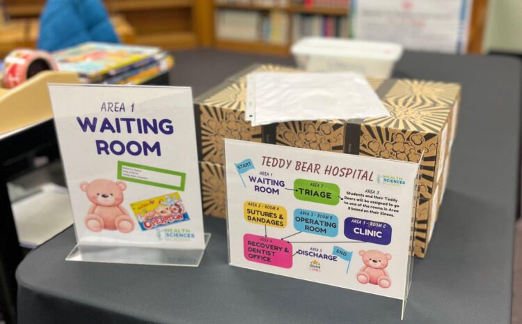  Teddy Bear Hospital introduces children to health ...