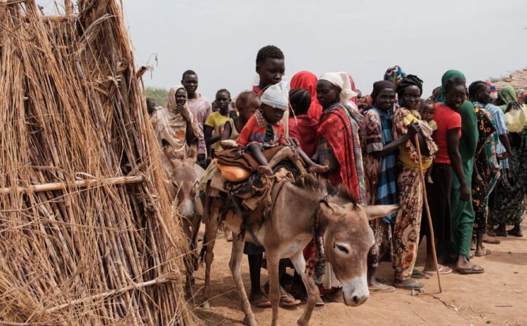  Pope prays for all families afflicted by conflict ...