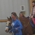 How horses are helping to heal people’s mental and physical health