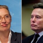 Musk urges Germans to vote for AfD in latest involvement in European politics