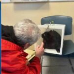 Salem police reunite family with missing cat after two years