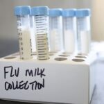 ‘Grossly irresponsible’: health experts urge US to control bird flu