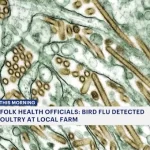 Suffolk health officials: Bird flu detected in poultry at local farm