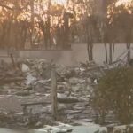 Brush clearing business helping mitigate wildfire risk