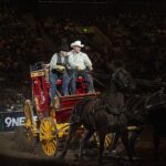 Rodeos, animals and entertainment: Stock Show rolls into town