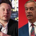 When egos collide: Trump could be next after angry Musk turns on Farage