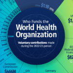 Visualized: Who Funds the World Health Organization?