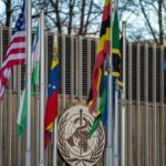 What a U.S. exit from the WHO means for global health