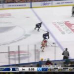 St. Louis Blues vs. Calgary Flames