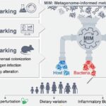 We know what you ate: Detailed protein activity maps assess intestinal health