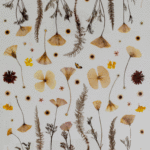 Art & Soul Exhibit ‘Biophilia’ Explores the Nature Within | Arts & Entertainment