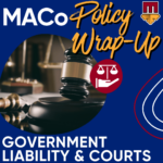 2025 End of Session Wrap-Up: Government Liability and Courts