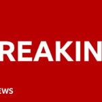 Michael Gove gets peerage in Rishi Sunak’s resignation honours list