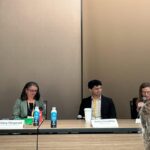 Efforts to boost climate resilience need to include government accountable, experts say
