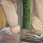 Psilocybin center in Bend first to partner with health insurance provider