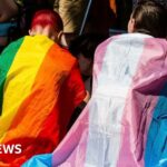 Westminster’s tortuous battle with the gender question