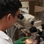 Government cuts could cost Michigan universities more than $200M in research spending