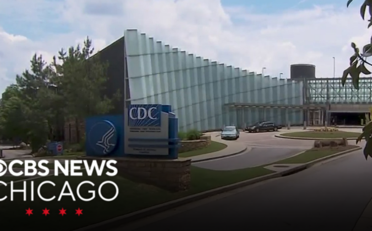 Doctors warn of surging flu cases