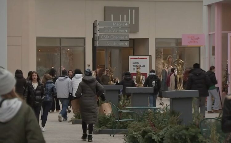 Our Chicago: Managing your mental well-being during the holidays and into winter