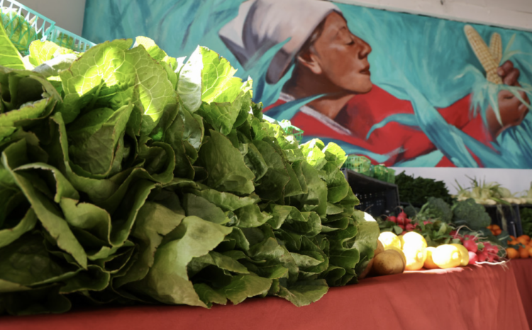 AHF • ‘Food for Health’ Ho, Ho, Hosts Holiday Party and Food Pantry in Westlake